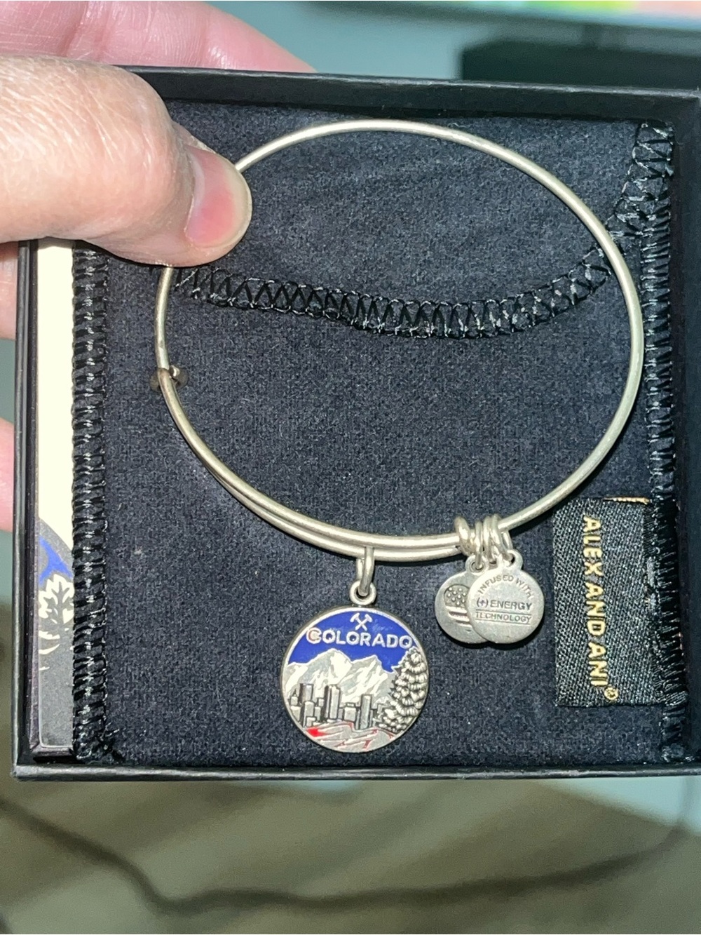 Alex and Ani Silver Colorado Enamel Charm Bangle with Blue Accent